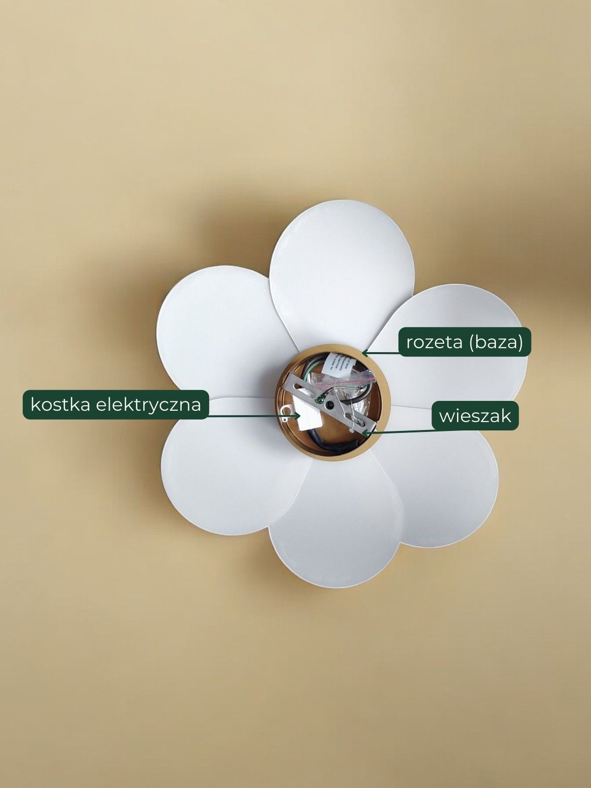 lampa-petals-sposob-montazu-na-scianie